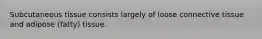 Subcutaneous tissue consists largely of loose connective tissue and adipose (fatty) tissue.