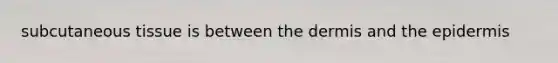 subcutaneous tissue is between the dermis and the epidermis