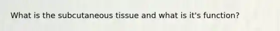 What is the subcutaneous tissue and what is it's function?