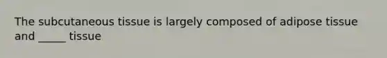 The subcutaneous tissue is largely composed of adipose tissue and _____ tissue