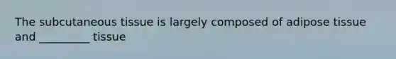 The subcutaneous tissue is largely composed of adipose tissue and _________ tissue