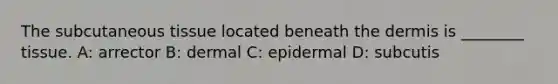 The subcutaneous tissue located beneath the dermis is ________ tissue. A: arrector B: dermal C: epidermal D: subcutis
