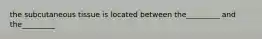 the subcutaneous tissue is located between the_________ and the_________