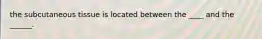the subcutaneous tissue is located between the ____ and the ______.