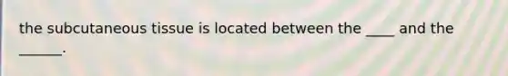 the subcutaneous tissue is located between the ____ and the ______.
