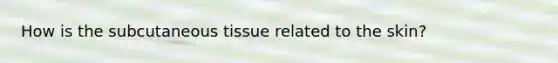 How is the subcutaneous tissue related to the skin?