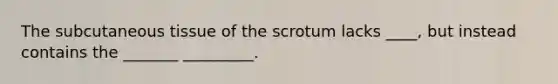 The subcutaneous tissue of the scrotum lacks ____, but instead contains the _______ _________.