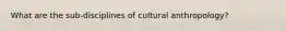 What are the sub-disciplines of cultural anthropology?