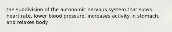 the subdivision of the autonomic nervous system that slows heart rate, lower blood pressure, increases activity in stomach, and relaxes body