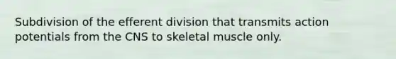 Subdivision of the efferent division that transmits action potentials from the CNS to skeletal muscle only.