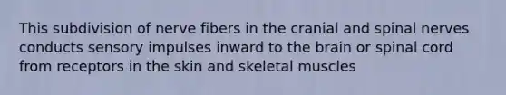 This subdivision of nerve fibers in the cranial and <a href='https://www.questionai.com/knowledge/kyBL1dWgAx-spinal-nerves' class='anchor-knowledge'>spinal nerves</a> conducts sensory impulses inward to <a href='https://www.questionai.com/knowledge/kLMtJeqKp6-the-brain' class='anchor-knowledge'>the brain</a> or spinal cord from receptors in the skin and skeletal muscles