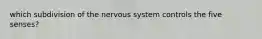 which subdivision of the nervous system controls the five senses?