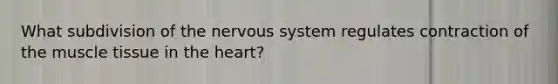 What subdivision of the nervous system regulates contraction of the <a href='https://www.questionai.com/knowledge/kMDq0yZc0j-muscle-tissue' class='anchor-knowledge'>muscle tissue</a> in the heart?