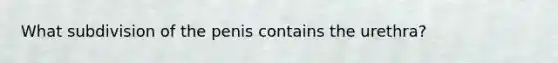 What subdivision of the penis contains the urethra?