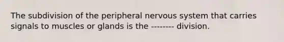 The subdivision of the peripheral nervous system that carries signals to muscles or glands is the -------- division.