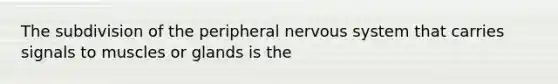 The subdivision of the peripheral nervous system that carries signals to muscles or glands is the