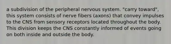 a subdivision of the peripheral <a href='https://www.questionai.com/knowledge/kThdVqrsqy-nervous-system' class='anchor-knowledge'>nervous system</a>. "carry toward", this system consists of nerve fibers (axons) that convey impulses to the CNS from <a href='https://www.questionai.com/knowledge/kZxhe8RZQ3-sensory-receptors' class='anchor-knowledge'>sensory receptors</a> located throughout the body. This division keeps the CNS constantly informed of events going on both inside and outside the body.