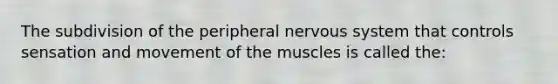 The subdivision of the peripheral nervous system that controls sensation and movement of the muscles is called the: