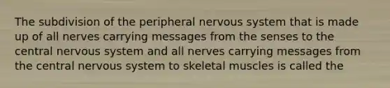 The subdivision of the peripheral nervous system that is made up of all nerves carrying messages from the senses to the central nervous system and all nerves carrying messages from the central nervous system to skeletal muscles is called the