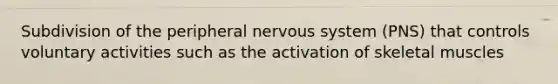 Subdivision of the peripheral nervous system (PNS) that controls voluntary activities such as the activation of skeletal muscles