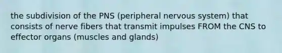 the subdivision of the PNS (peripheral nervous system) that consists of nerve fibers that transmit impulses FROM the CNS to effector organs (muscles and glands)