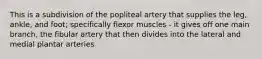 This is a subdivision of the popliteal artery that supplies the leg, ankle, and foot; specifically flexor muscles - it gives off one main branch, the fibular artery that then divides into the lateral and medial plantar arteries