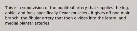 This is a subdivision of the popliteal artery that supplies the leg, ankle, and foot; specifically flexor muscles - it gives off one main branch, the fibular artery that then divides into the lateral and medial plantar arteries