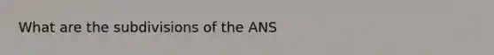 What are the subdivisions of the ANS