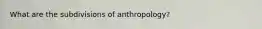 What are the subdivisions of anthropology?