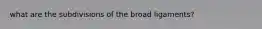 what are the subdivisions of the broad ligaments?