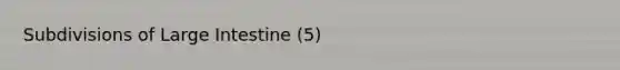 Subdivisions of <a href='https://www.questionai.com/knowledge/kGQjby07OK-large-intestine' class='anchor-knowledge'>large intestine</a> (5)