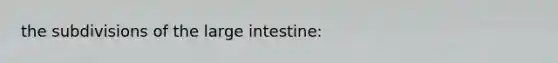 the subdivisions of the <a href='https://www.questionai.com/knowledge/kGQjby07OK-large-intestine' class='anchor-knowledge'>large intestine</a>: