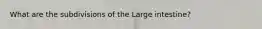 What are the subdivisions of the Large intestine?