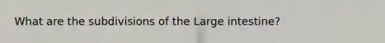 What are the subdivisions of the Large intestine?