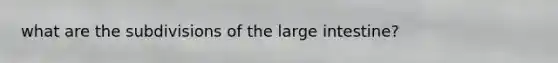 what are the subdivisions of the large intestine?