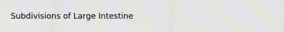 Subdivisions of Large Intestine