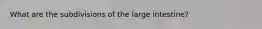 What are the subdivisions of the large intestine?