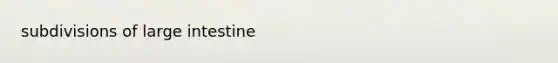 subdivisions of <a href='https://www.questionai.com/knowledge/kGQjby07OK-large-intestine' class='anchor-knowledge'>large intestine</a>