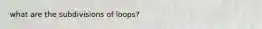 what are the subdivisions of loops?
