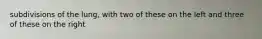 subdivisions of the lung, with two of these on the left and three of these on the right