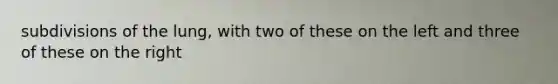 subdivisions of the lung, with two of these on the left and three of these on the right
