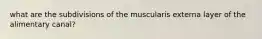 what are the subdivisions of the muscularis externa layer of the alimentary canal?