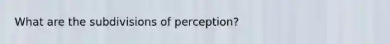 What are the subdivisions of perception?