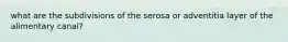 what are the subdivisions of the serosa or adventitia layer of the alimentary canal?