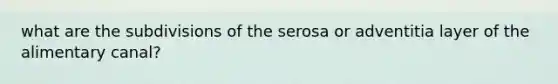 what are the subdivisions of the serosa or adventitia layer of the alimentary canal?