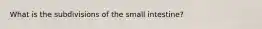 What is the subdivisions of the small intestine?