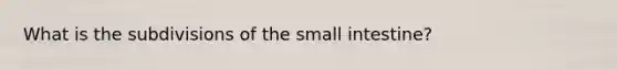 What is the subdivisions of the small intestine?