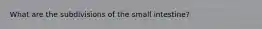 What are the subdivisions of the small intestine?