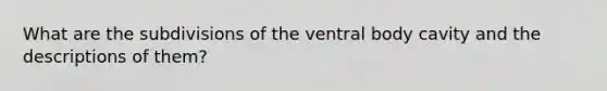 What are the subdivisions of the ventral body cavity and the descriptions of them?