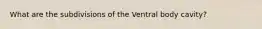 What are the subdivisions of the Ventral body cavity?